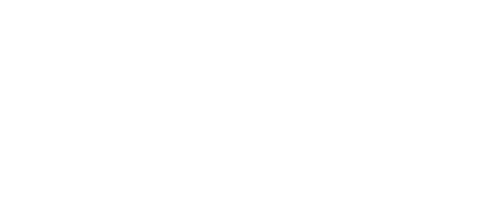 Провайдер Champion Studio
