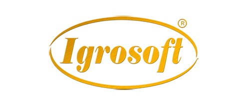 Провайдер IgroSoft