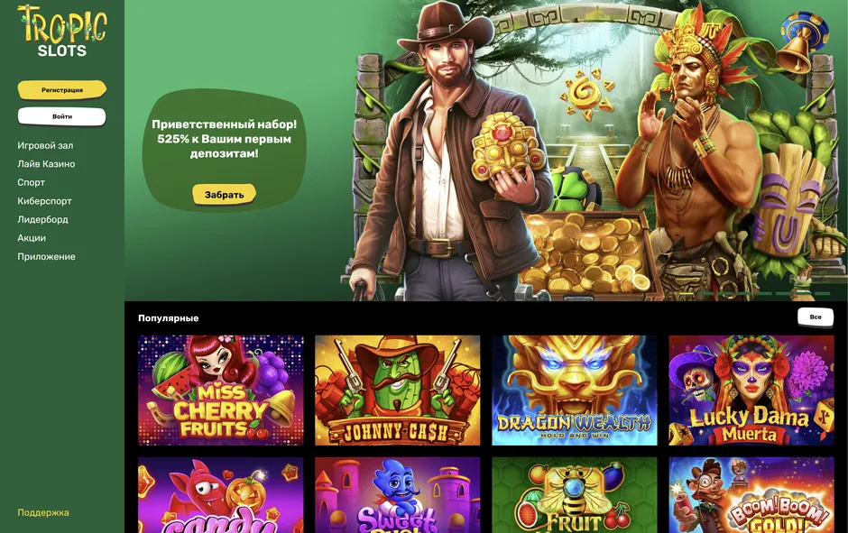 Различные методы пополнения и вывода средств в Tropic Slots 